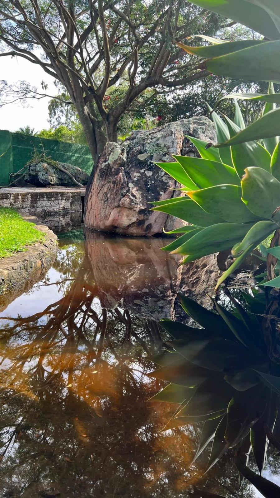 Hotel Pousada Primavera Mucugê Esterno foto
